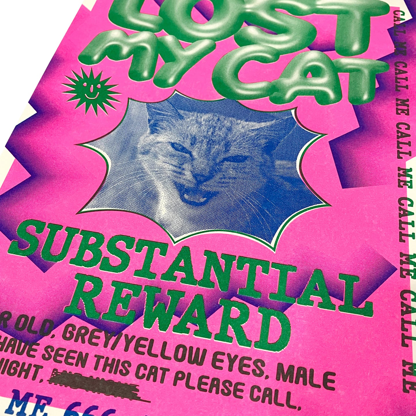 LOST CAT POSTER